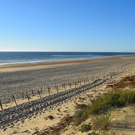 Appartement Ref 550 Ocean, Bel Classe 3 Etoiles Avec Parking Privatif A 100m De Plage Et Des Commerces Seignosse